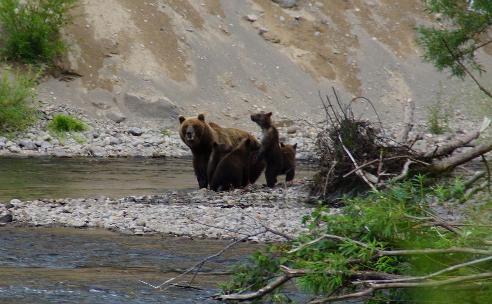встреча на рыбалке