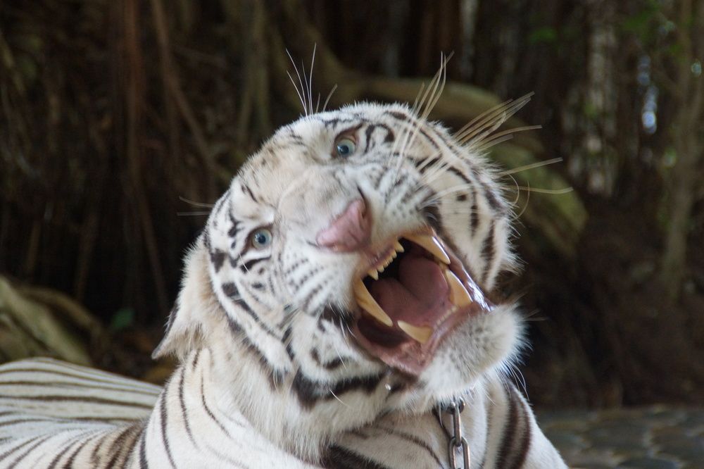 Photograph by Андрей Елькин