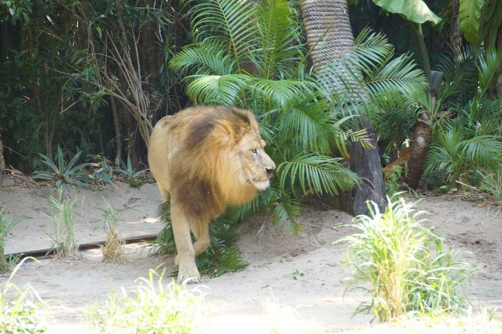 Photograph by Андрей Елькин