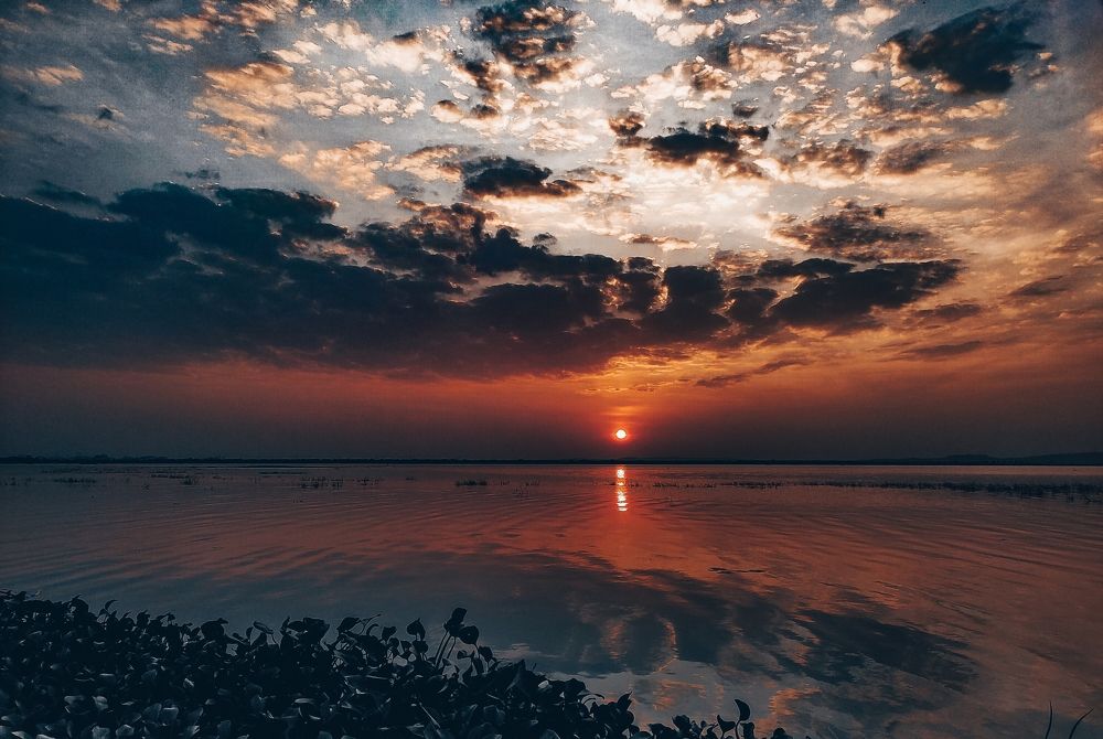 Photograph by Jai Shankar Chirivella