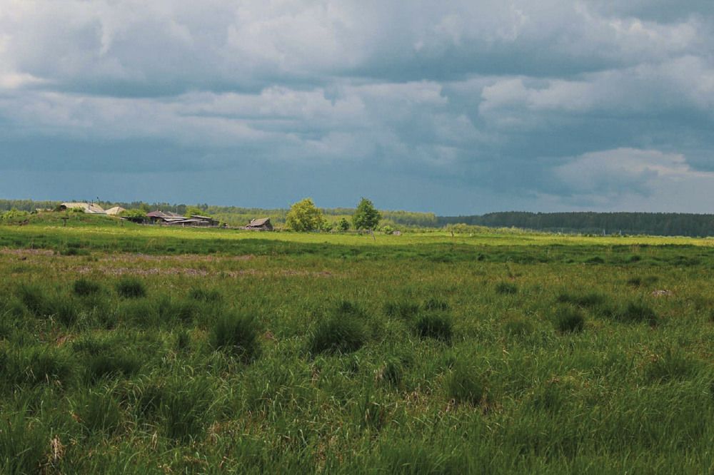 Photograph by Андрей Астафьев