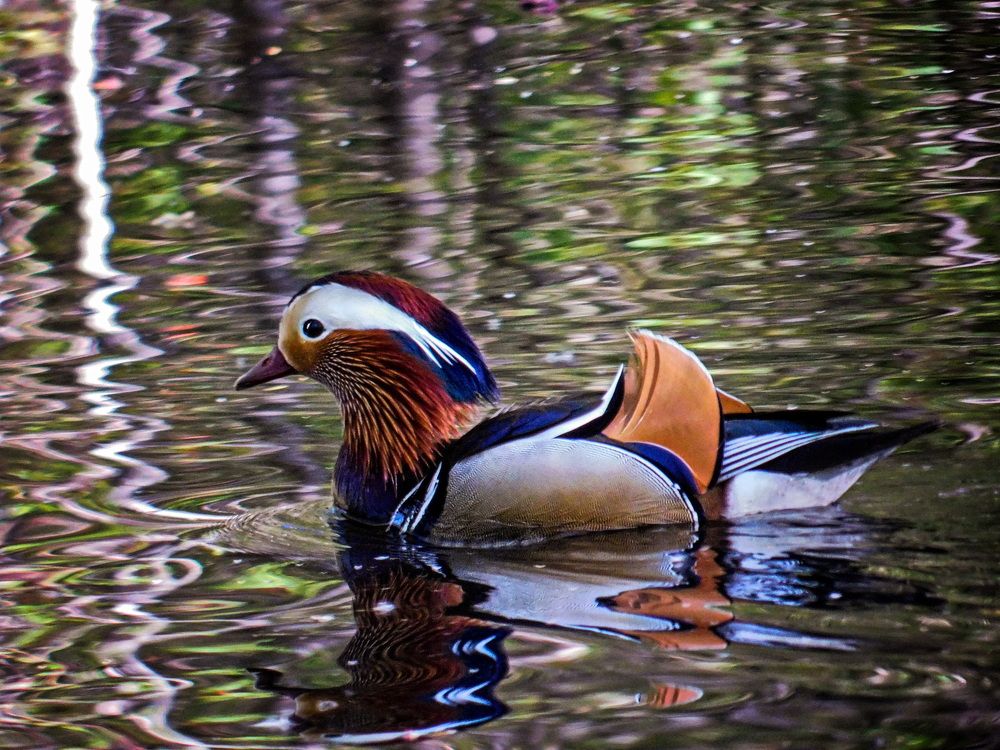 Photograph by Даниил Марков