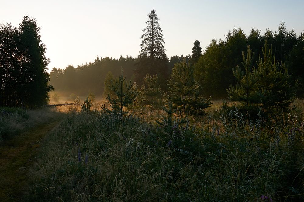 Photograph by Александр Гуреев