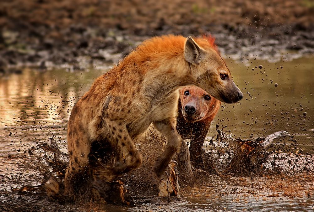 Photograph by THEODORE MATTAS