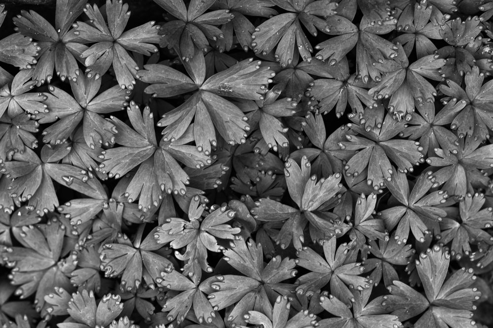 Фотография автора KIM BYUNGHO