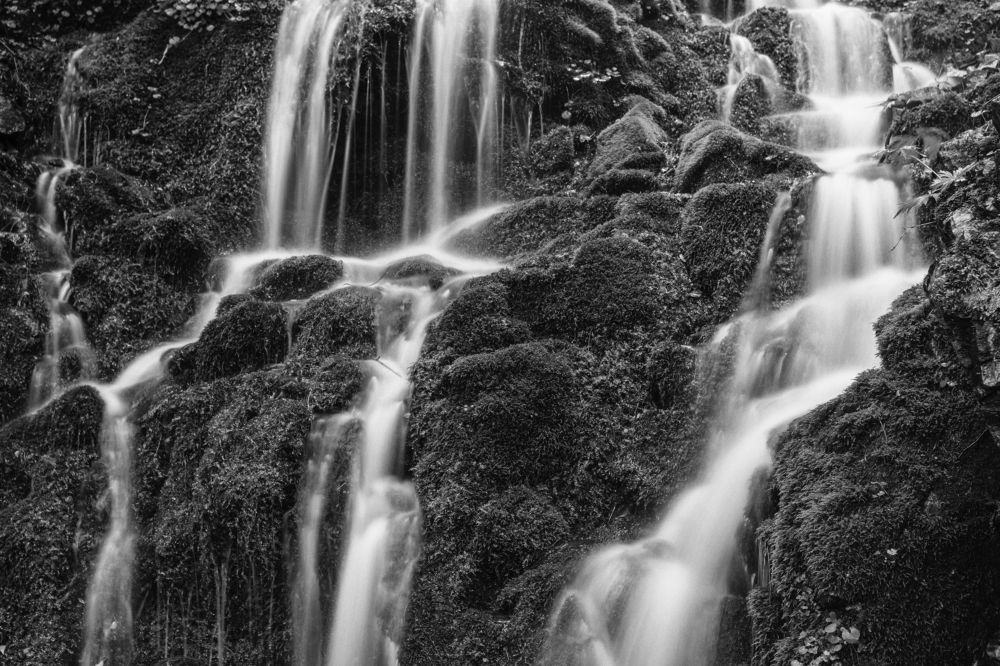 Фотография автора KIM BYUNGHO