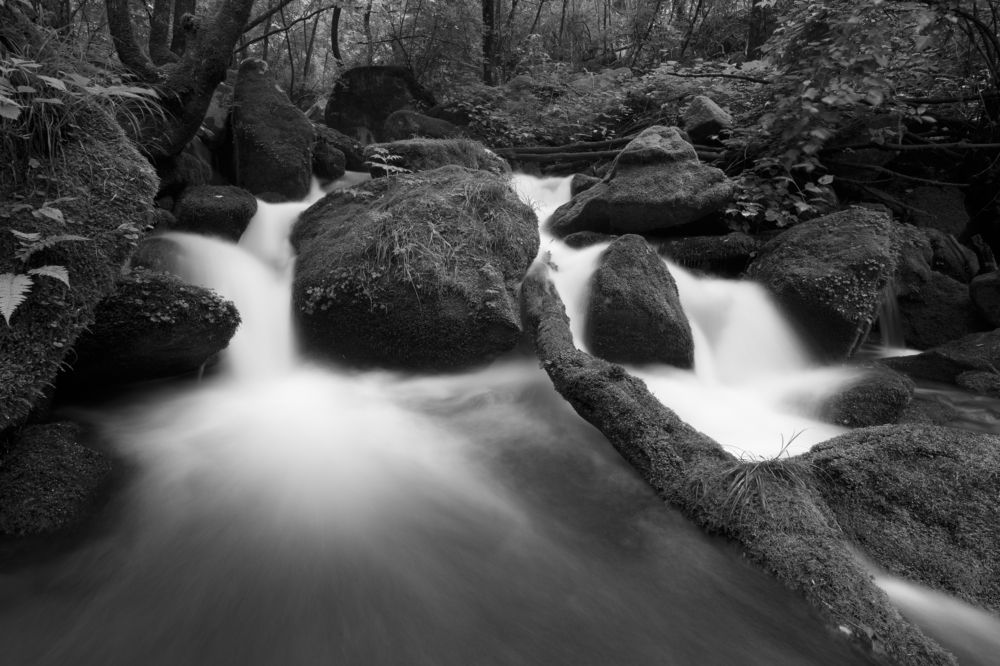 Фотография автора KIM BYUNGHO