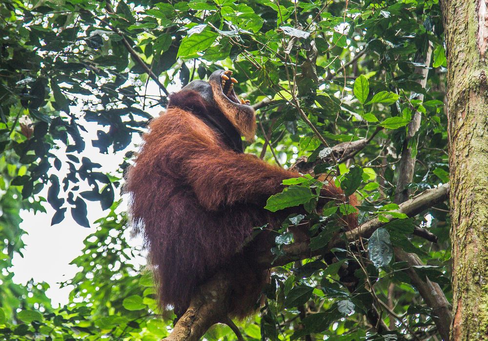 Photograph by Arif Alakbar