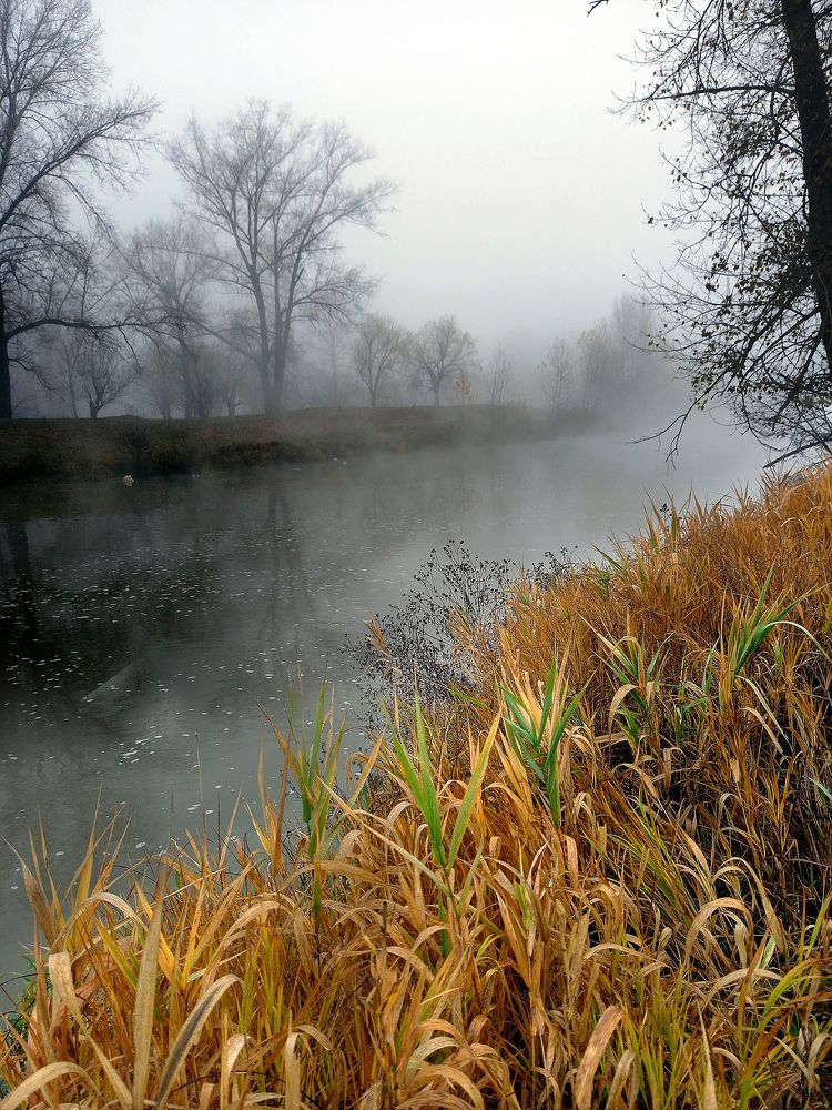 Фотография автора Любовь Харина