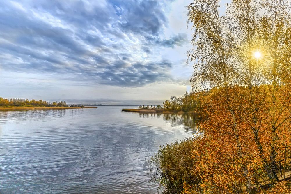 Осеннее утро