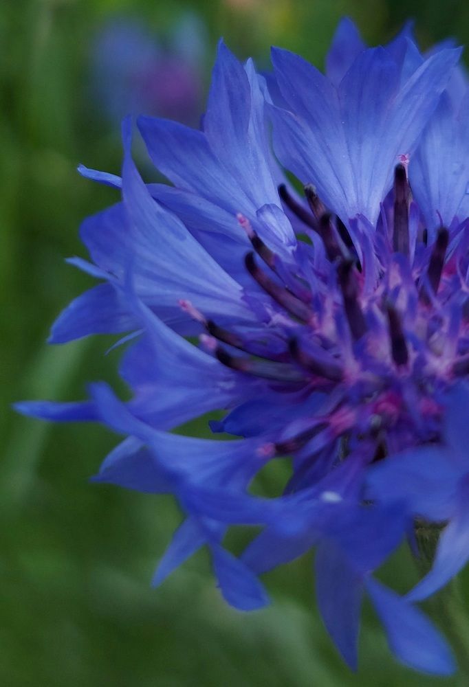 Photograph by Ольга