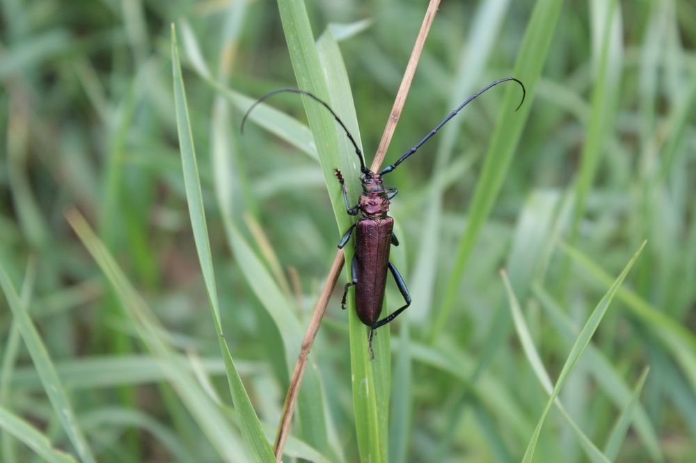 Photograph by Елена Савицкая