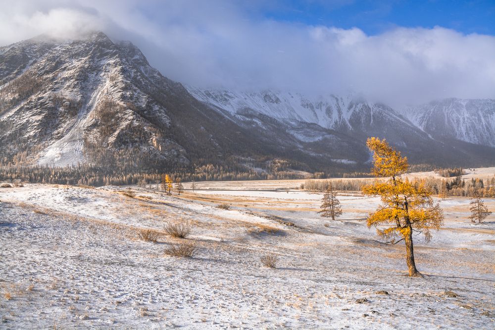 ''Зимнее'' утро