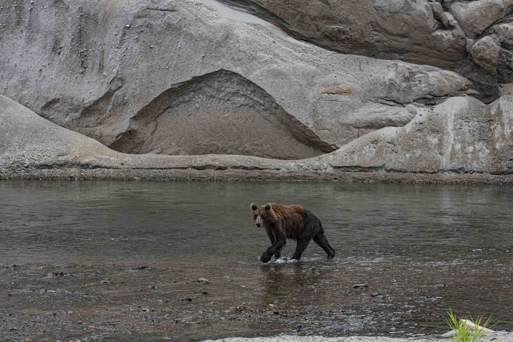 Photograph by Алексей Шаскольский