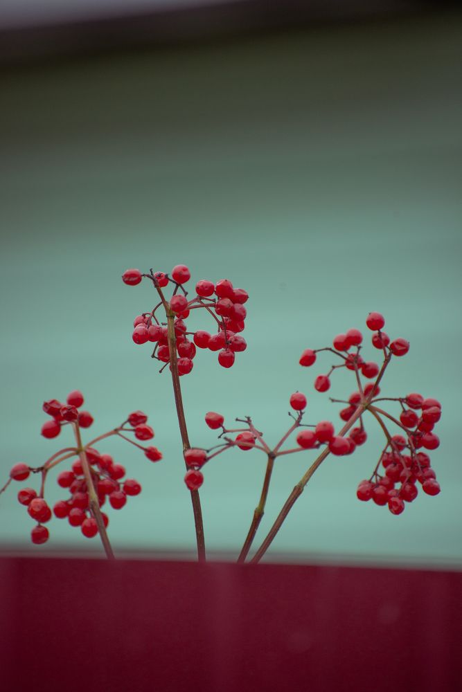 Photograph by Светлана Крошенкова