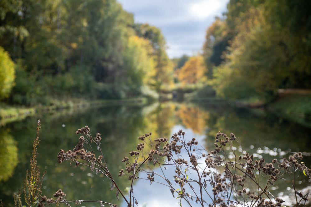 Photograph by Дмитрий Плотников