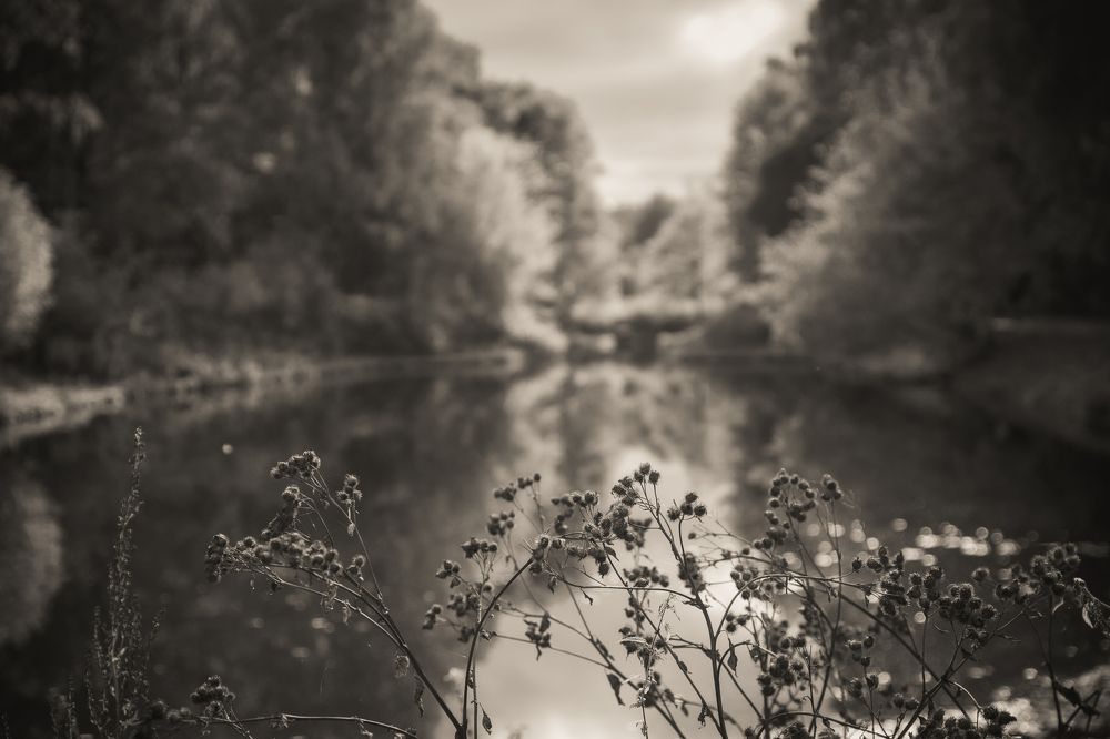 Photograph by Дмитрий Плотников