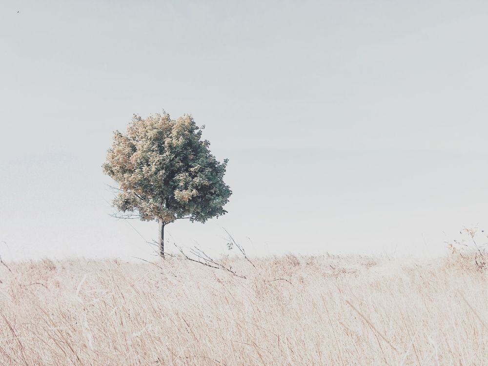 Photograph by Андрей Мациевский