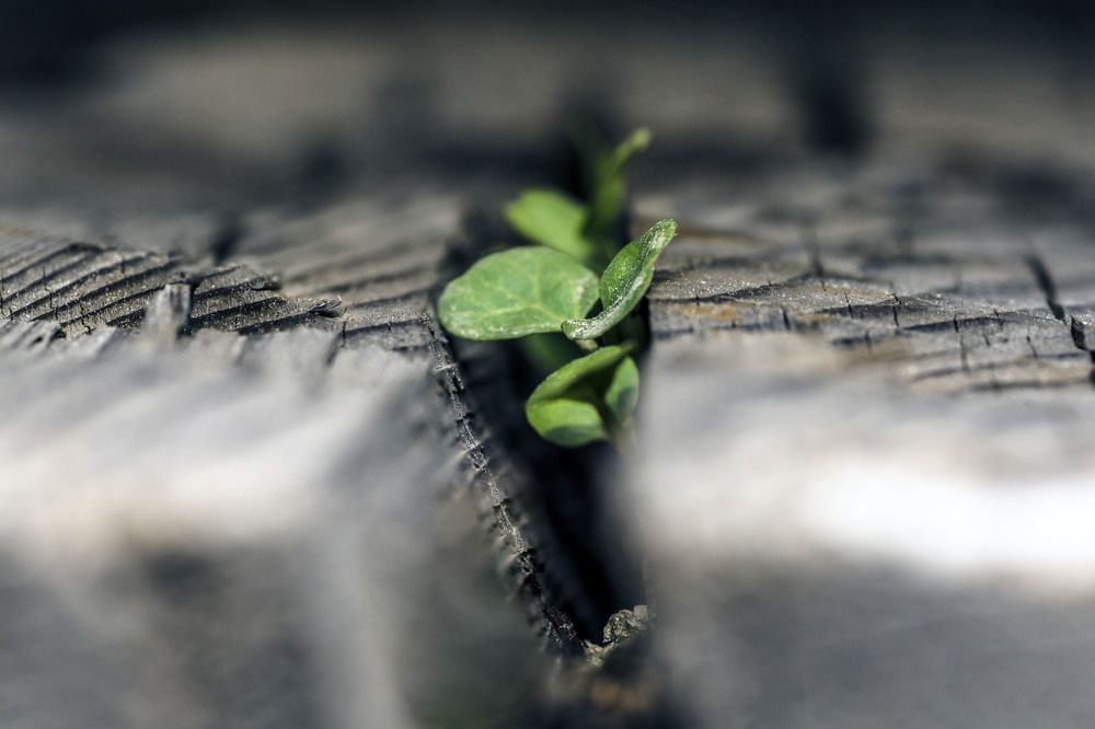 Photograph by Виктор Степанов