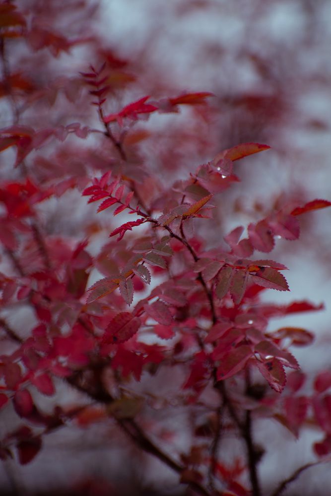 Photograph by Светлана Крошенкова