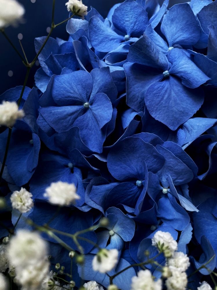 Photograph by Александа Жильцова