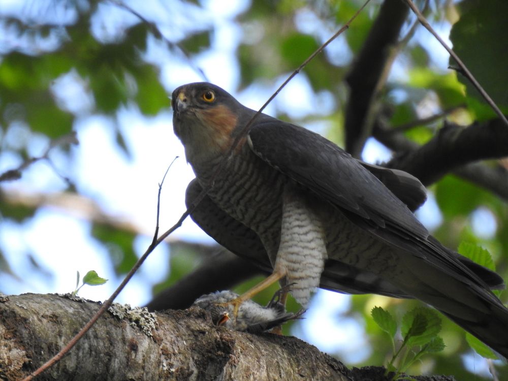 Photograph by Георгий Салюков