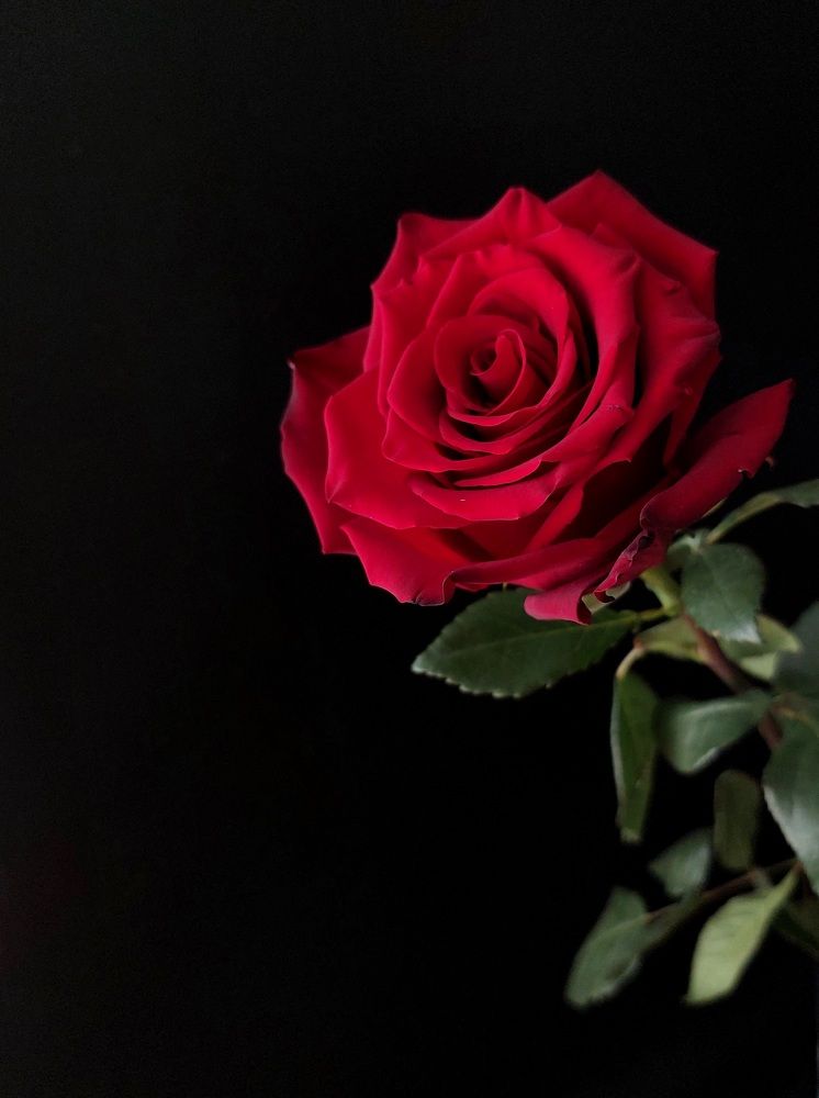 Photograph by Ольга