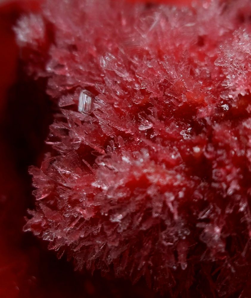 Photograph by Ольга