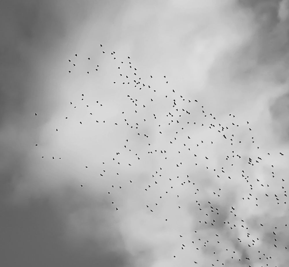 Photo #8255509