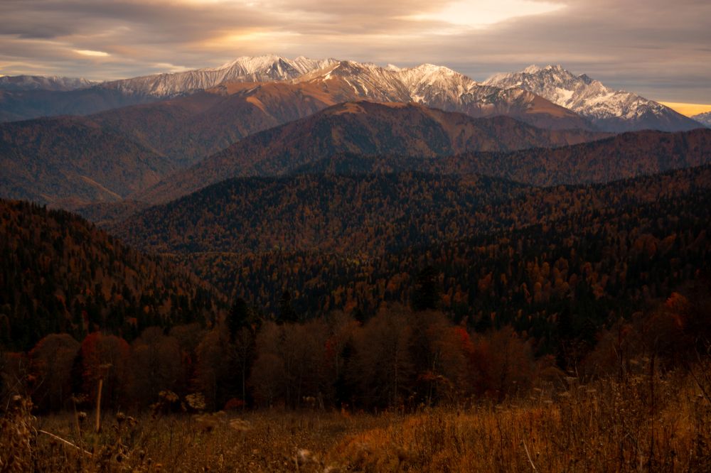 Photograph by Елена Плотникова