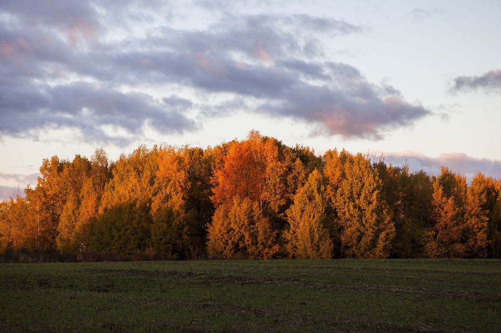 Photograph by Lulanian