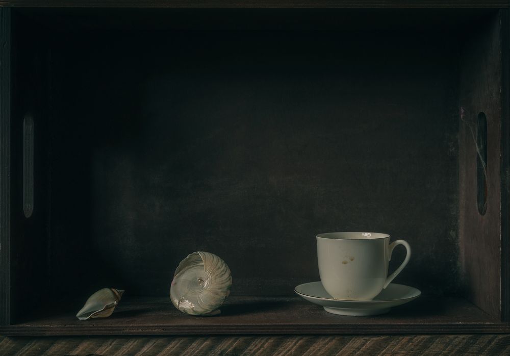 Fine China and Shells