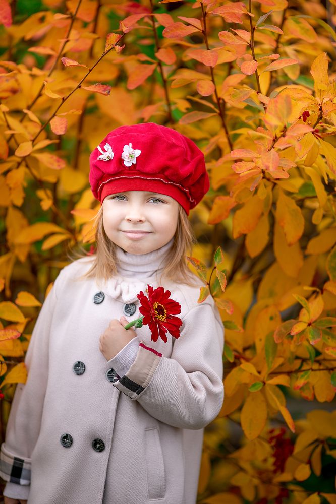 Фотография автора Софья Шарабурко
