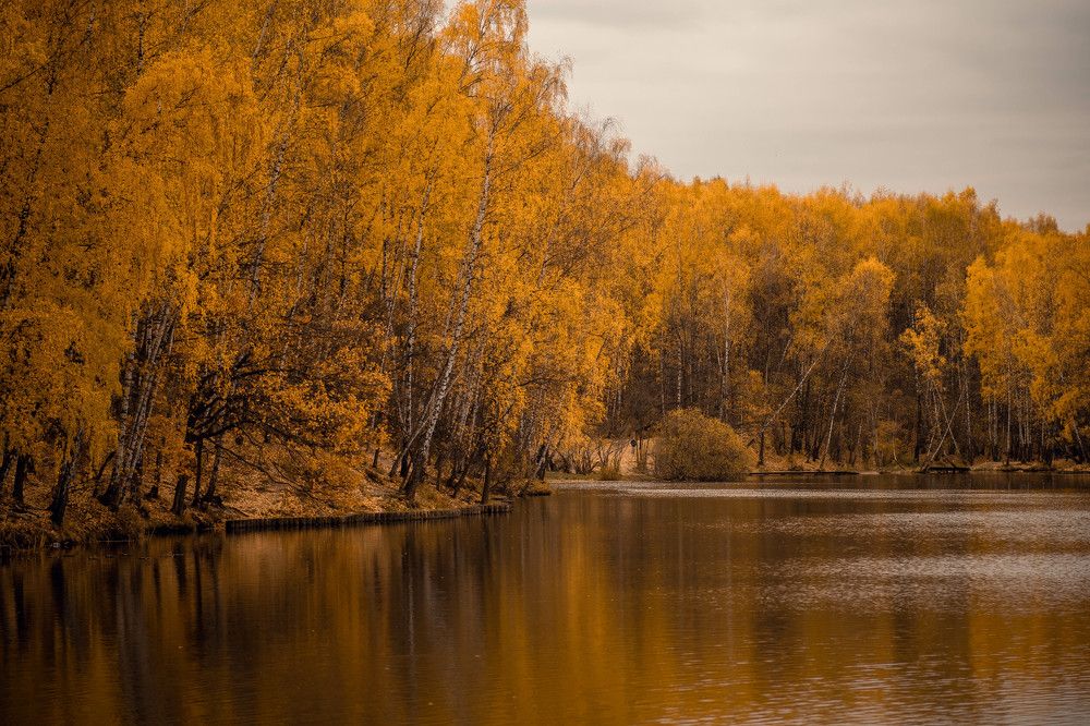 Осень в Тропаревском парке г.Москва