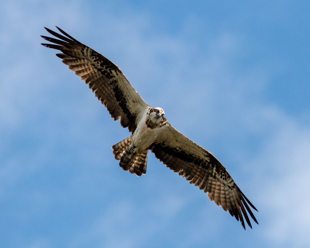 Photograph by Павел Краснослободцев