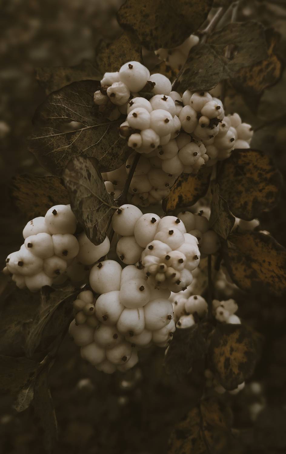 Photo #8255707
