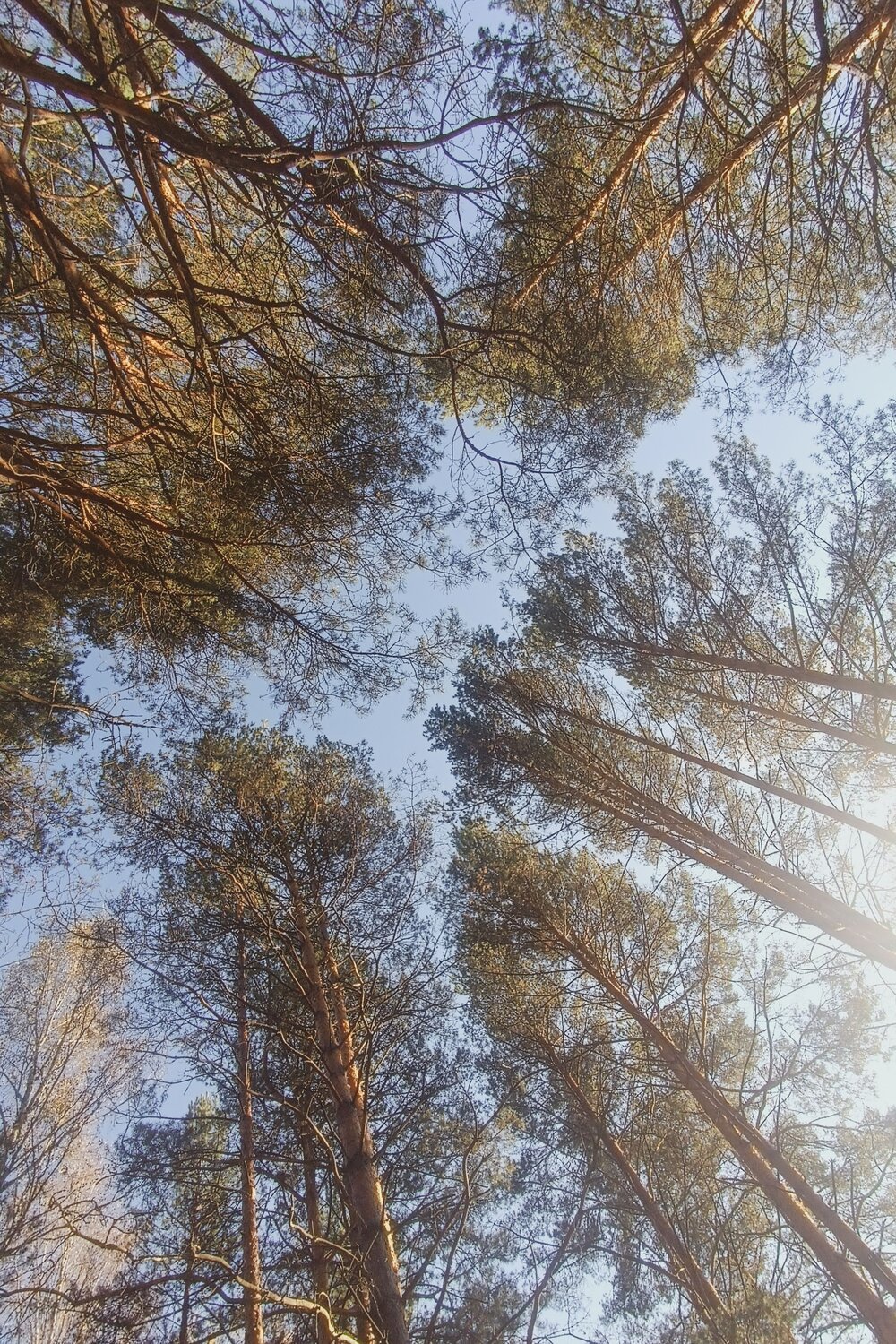 Photo #8255708