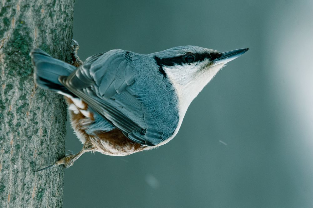 Photograph by Вячеслав Ладанов