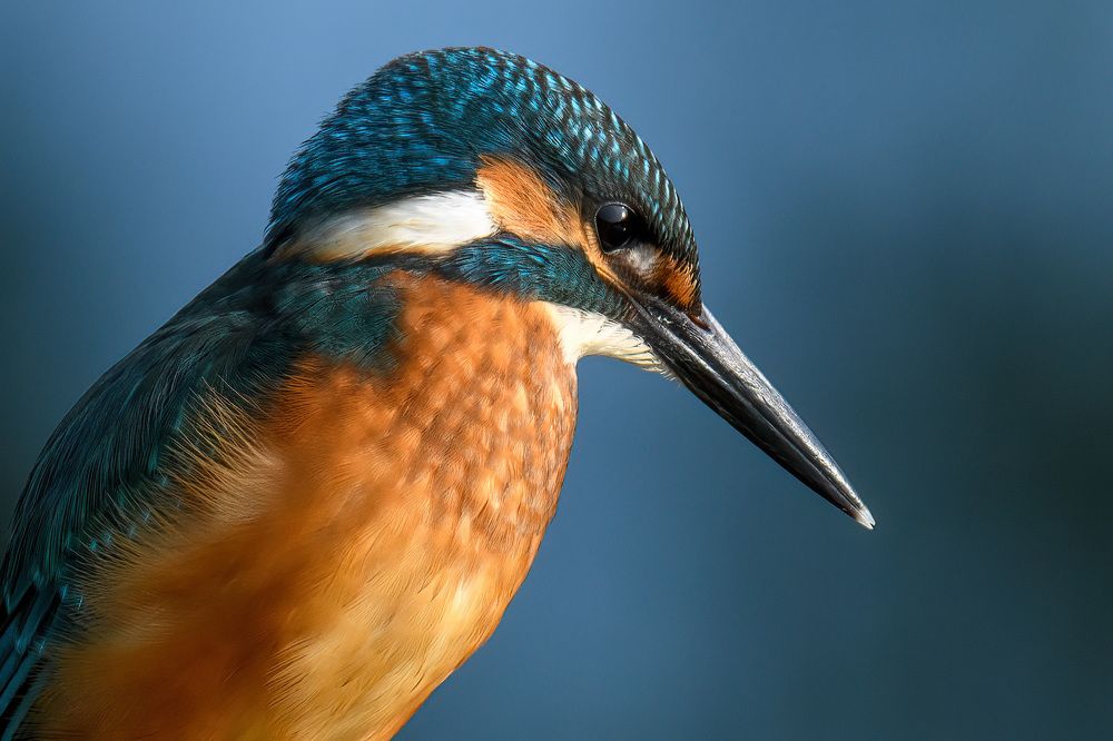 Photograph by Вячеслав Ладанов