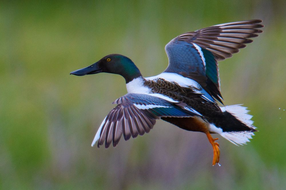 Photograph by Вячеслав Ладанов