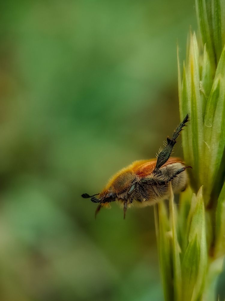 Photograph by Лариса Когтева