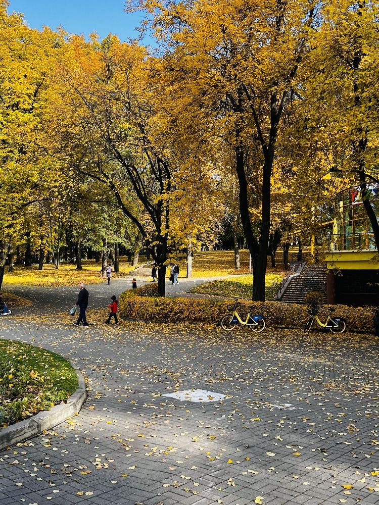 Photograph by Елена Зенкевич