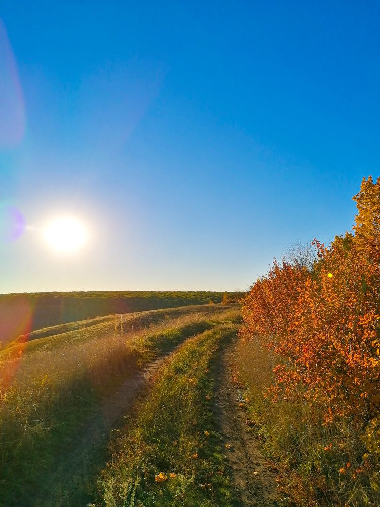 Photograph by Яна Шурупова