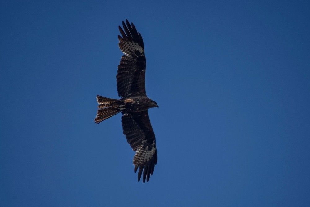 Photograph by Алексей Логинов