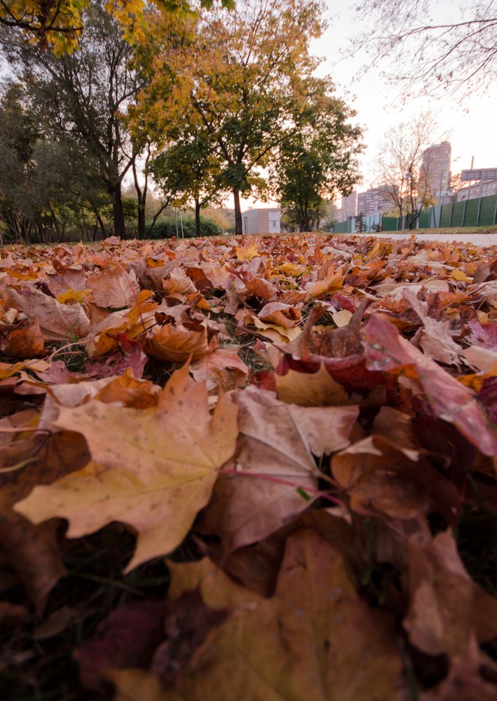 Photograph by Екатерина Николаева