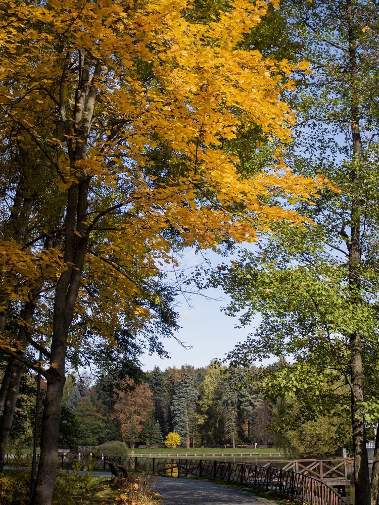 Photograph by Екатерина Бердутина