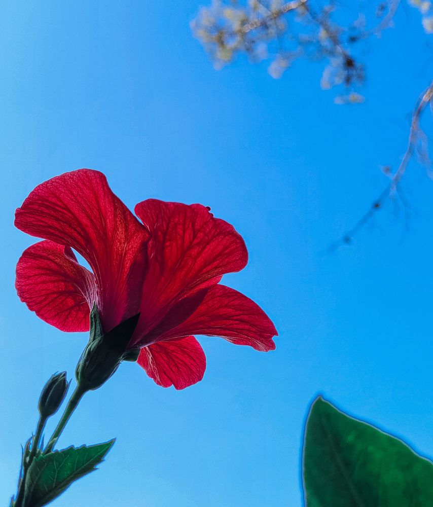 Photograph by Salah Ahmed
