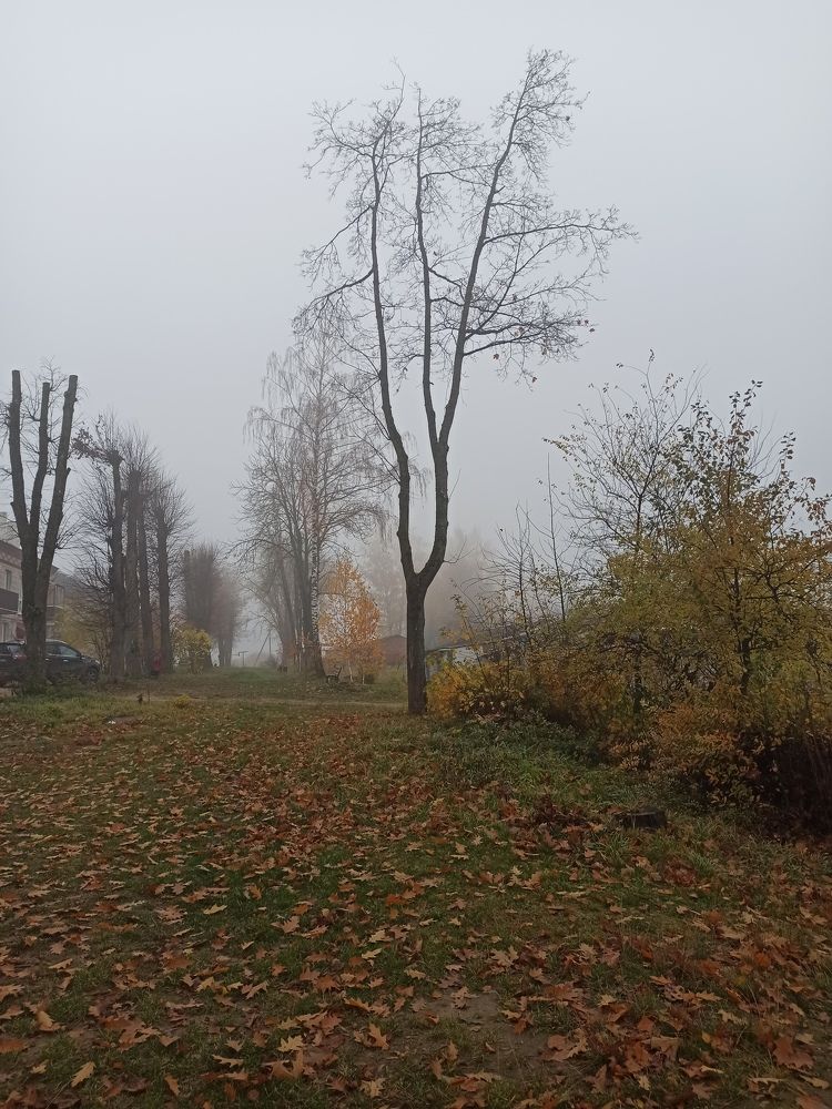 Photograph by Александр Мытько