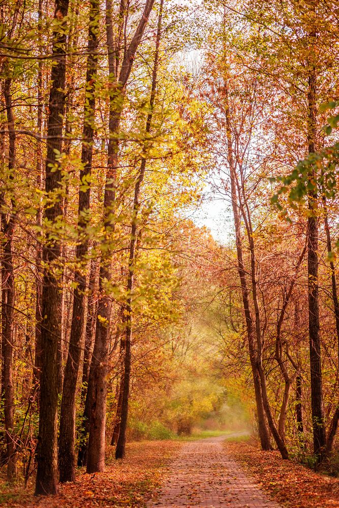 Photograph by Шавловская Марина