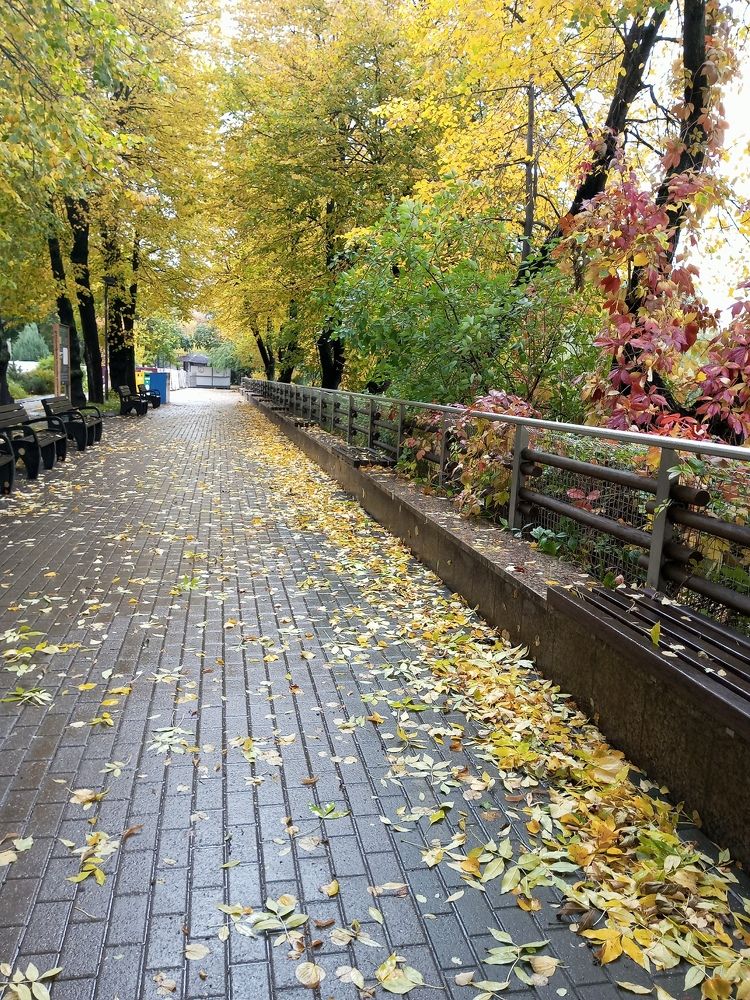 Photograph by Нина Гирнык